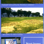 When the BN messed up the Esplanade...
