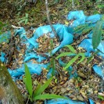 Now Chee Seng residents worry about dengue