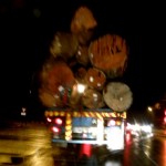 Where are these huge logs coming from?