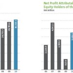TNB's revenue, profits for last 5 years