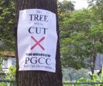 PGCC: There go the angsana trees