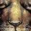 Singam