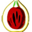 Nutmeg Publishing