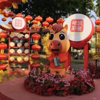 IMG_20260202_182002-1-1